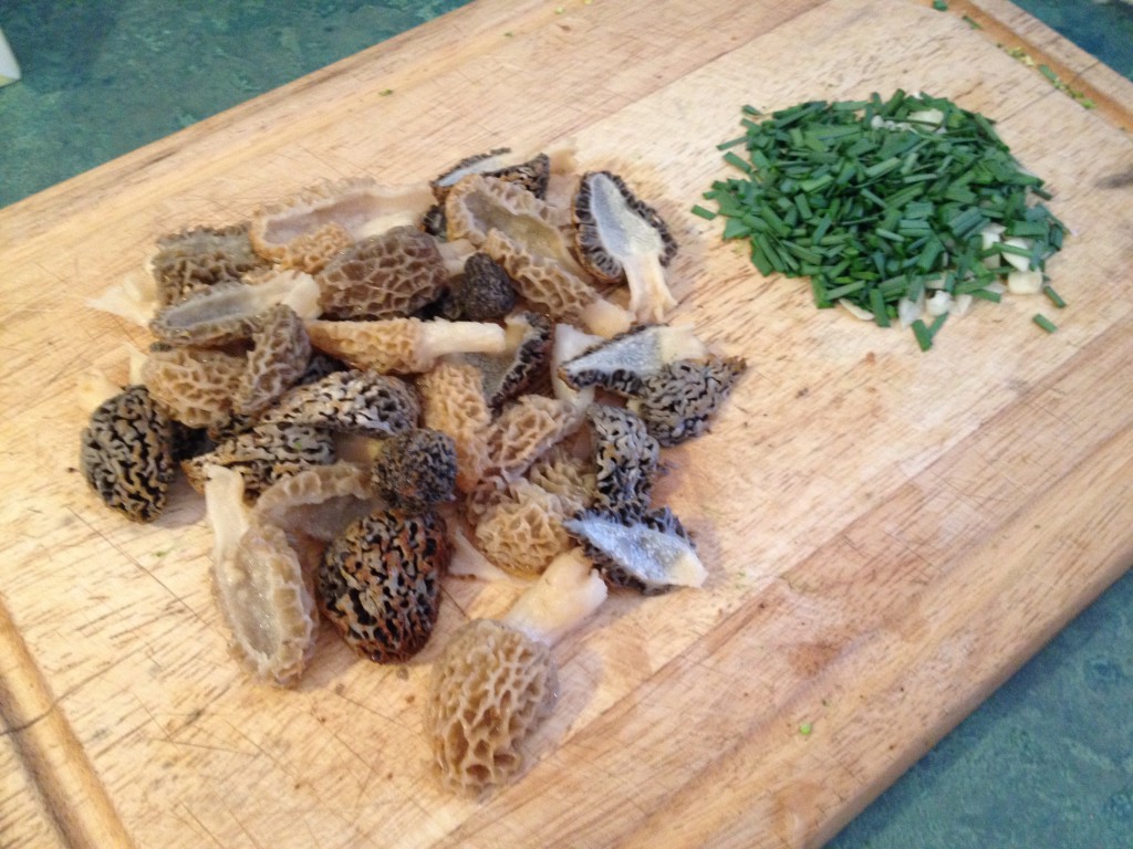 morel mushrooms and wild onions