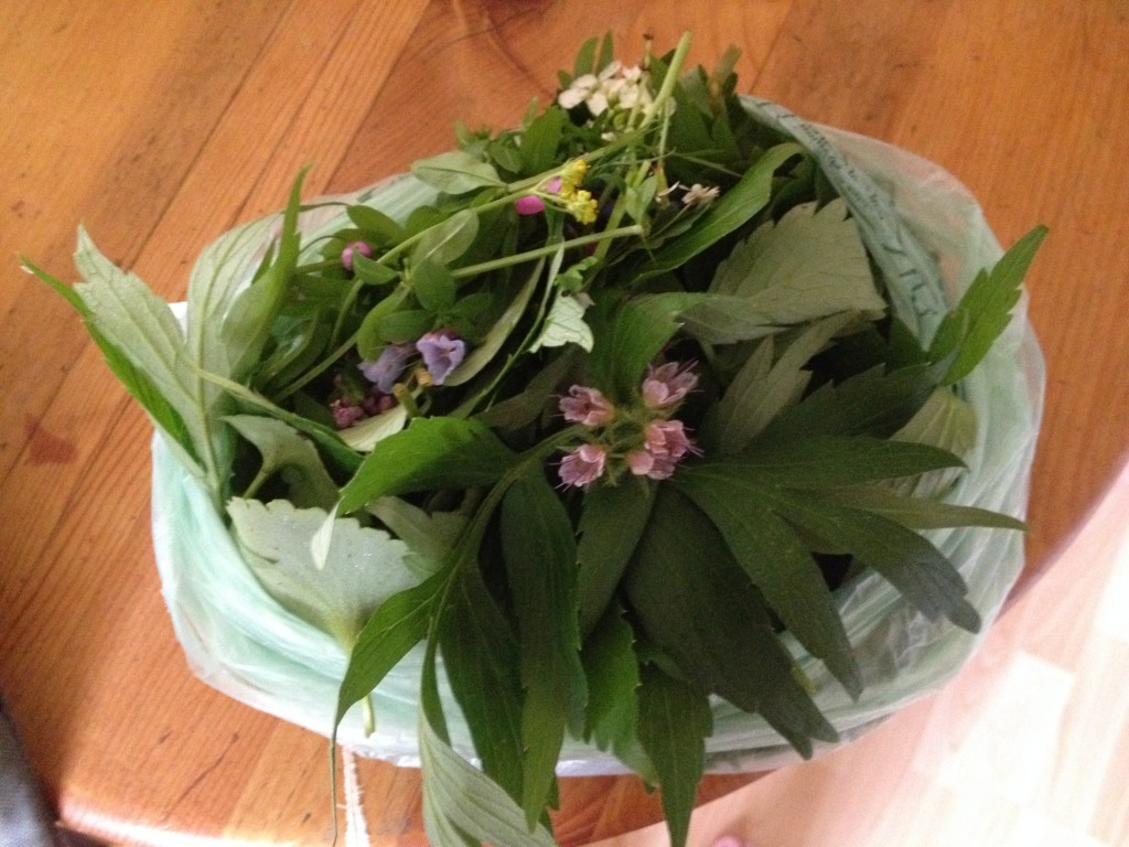 Wild salad with water leaf and water leaf flowers...rose petals, peppercress leaf and flowers, strawberry leaf and other yummy things of that nature.